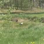 Vakantiehuis Na Kaszubach O Niezwyklym Klimacie *