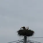 Na Kaszubach O Niezwyklym Klimacie Vakantiehuis Sierakowice (Pomerania)