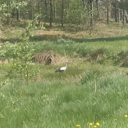 Semesterbostad Na Kaszubach O Niezwyklym Klimacie *