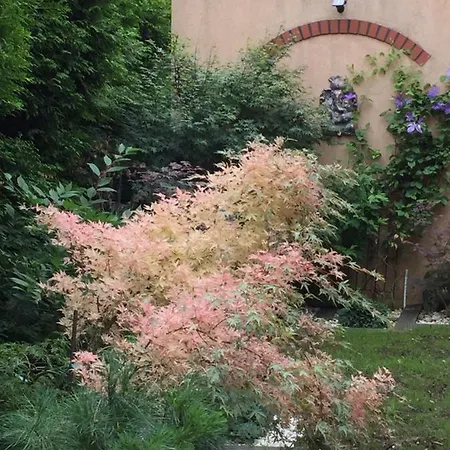 Na Kaszubach O Niezwyklym Klimacie