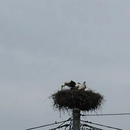 Na Kaszubach O Niezwyklym Klimacie Tatil Evi Sierakowice (Pomerania)