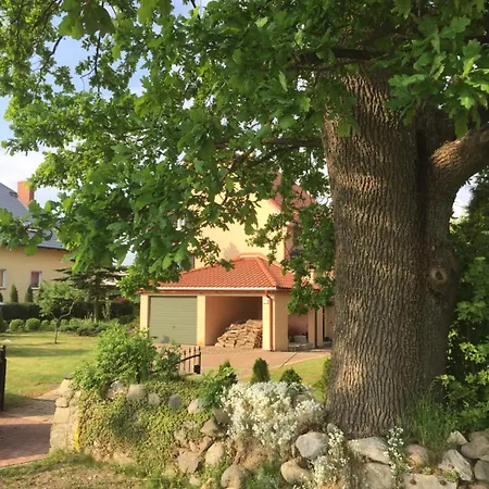 Na Kaszubach O Niezwyklym Klimacie Sierakowice (Pomerania)
