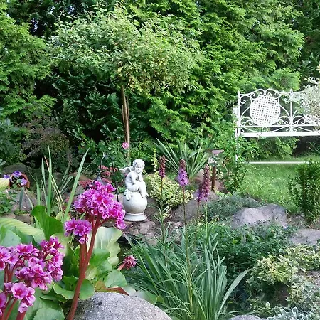 Tatil Evi Na Kaszubach O Niezwyklym Klimacie