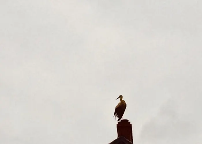 Na Kaszubach O Niezwyklym Klimacie Prázdninový dům