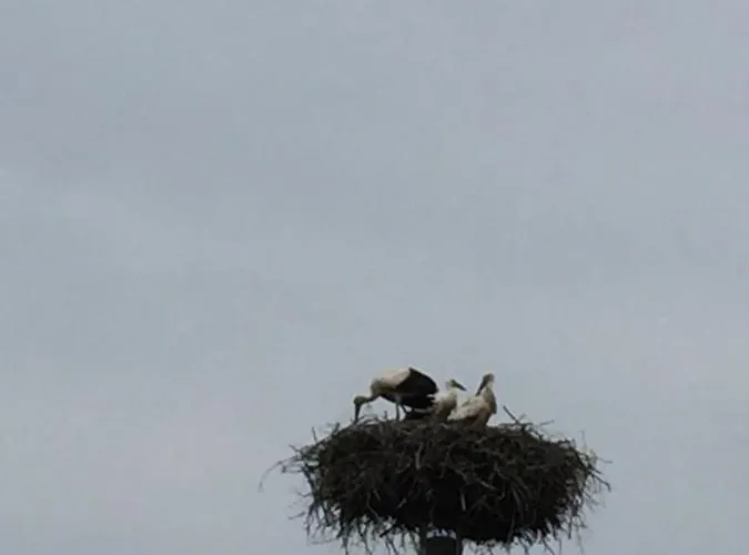 Na Kaszubach O Niezwyklym Klimacie Prázdninový dům Sierakowice (Pomerania)