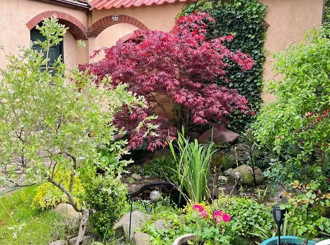 Prázdninový dům Na Kaszubach O Niezwyklym Klimacie *